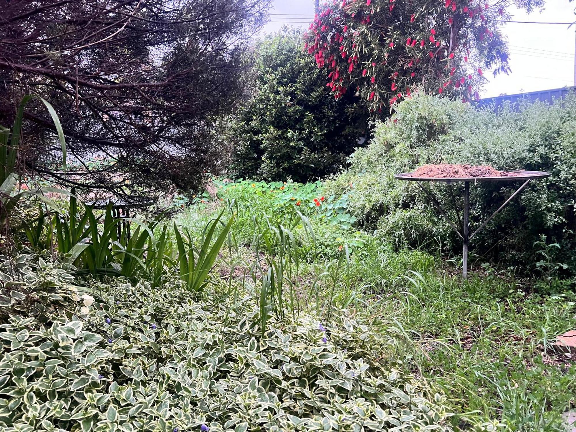 Secret Garden Shack Apartment Порт Линкълн Екстериор снимка